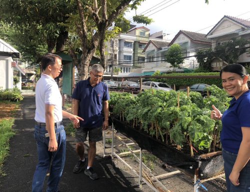 คุณเทวิน & คุณลมุลจิต นำทีมอนาคตไทย สายไหม ลงพื้นที่ พบปะพูดคุยชาวสายไหม